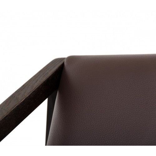 Modern Brown Leather Lounge Chair Tanto