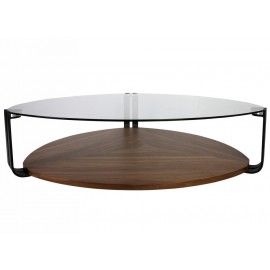 Modern Glass and Walnut Coffee Table Nature